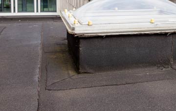 disadvantages of Running Waters flat roofs